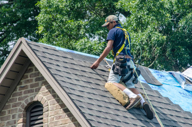 Professional Roofing Contractor in Payson, IL